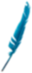 Dji Inspire 1 Pro – Bild 4